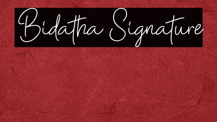 Bidatha Signature Example 3