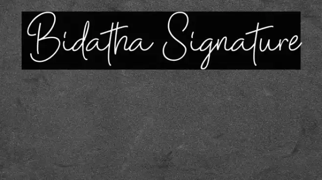 Bidatha Signature Font examples