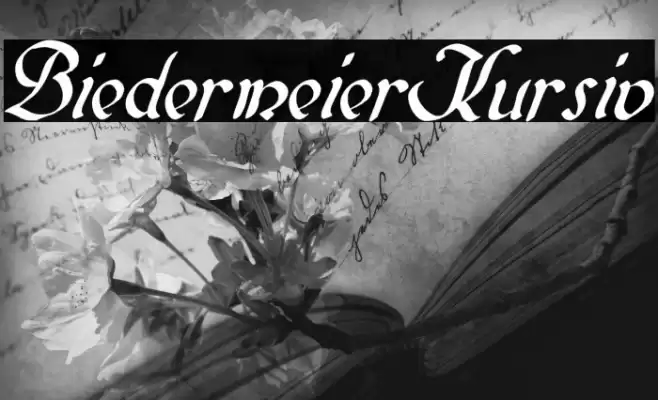 BiedermeierKursiv Font examples