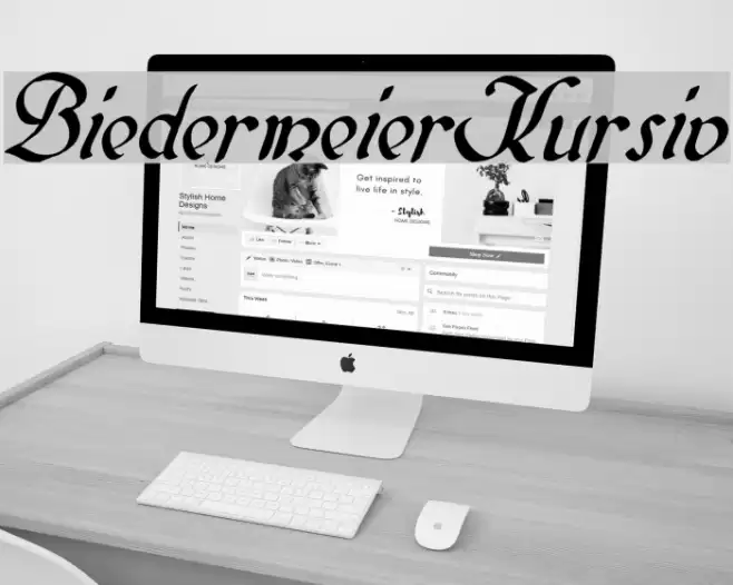 BiedermeierKursiv Font examples
