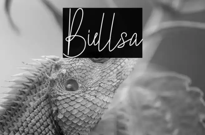 Biellsa Font examples