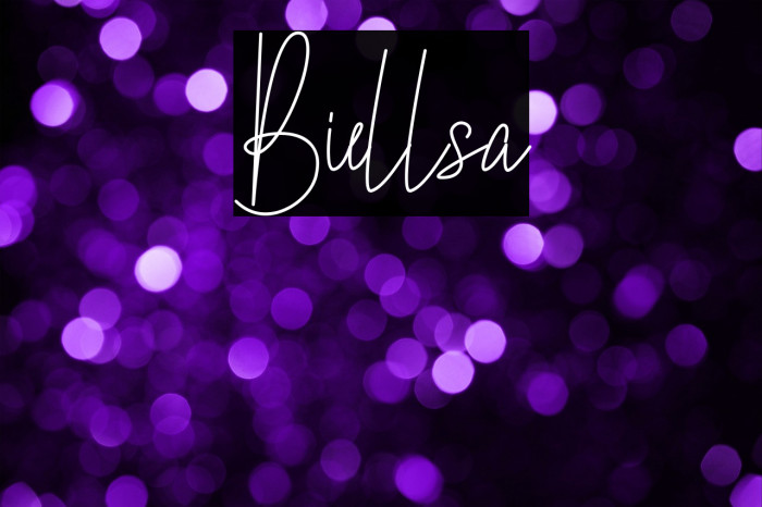 Biellsa Example 2