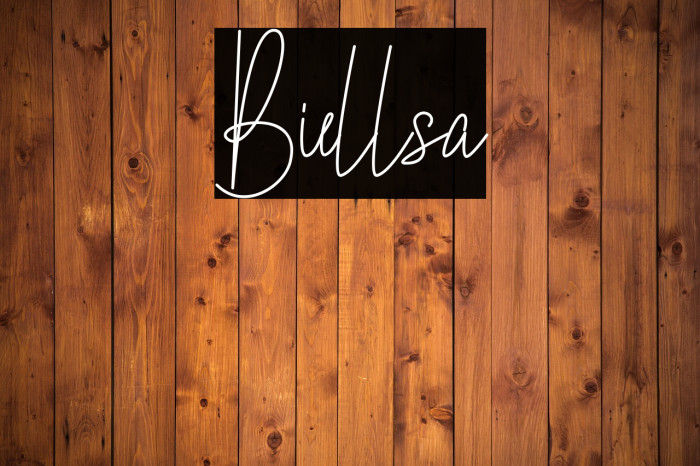 Biellsa Example 3