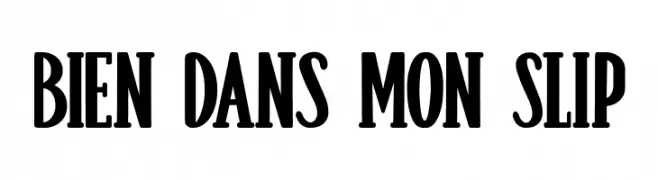 Bien dans mon Slip  Free Fonts Download