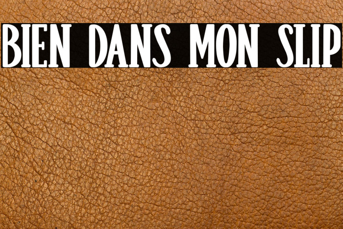 Bien dans mon Slip Example 1