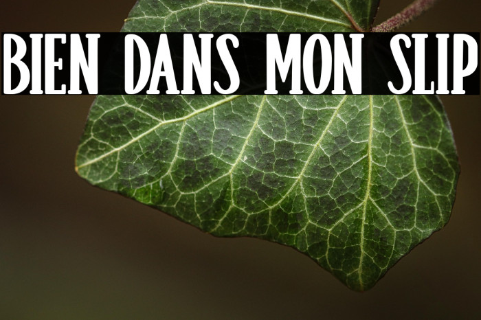 Bien dans mon Slip Example 3