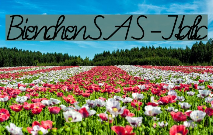 BienchenSAS-Italic Font examples