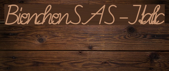 BienchenSAS-Italic Font examples