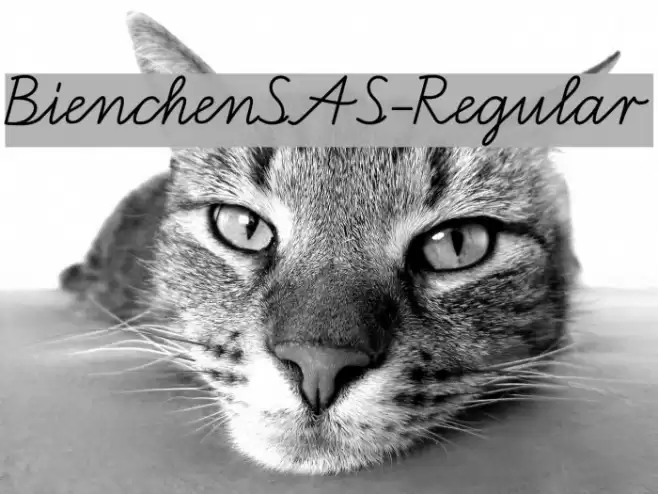 BienchenSAS-Regular Font examples