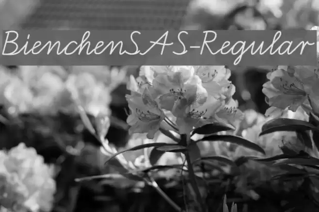 BienchenSAS-Regular Font examples