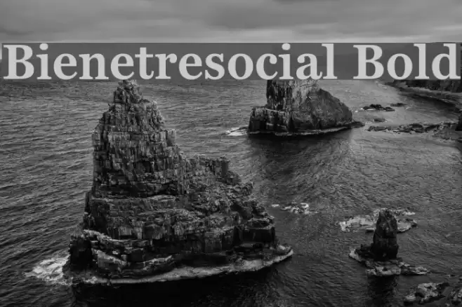 Bienetresocial Bold Font examples