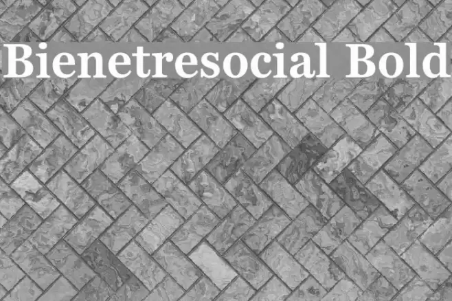 Bienetresocial Bold Font examples