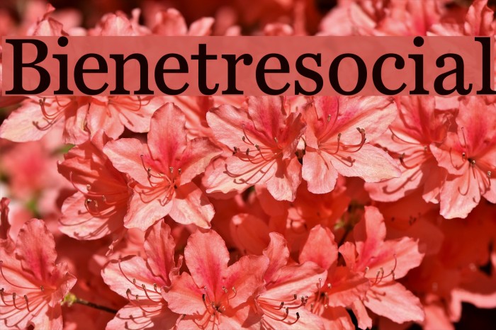 Bienetresocial Font examples