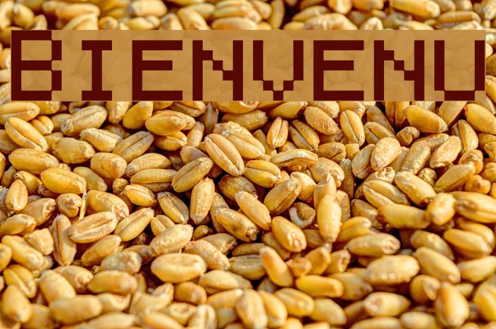 Bienvenu Font examples
