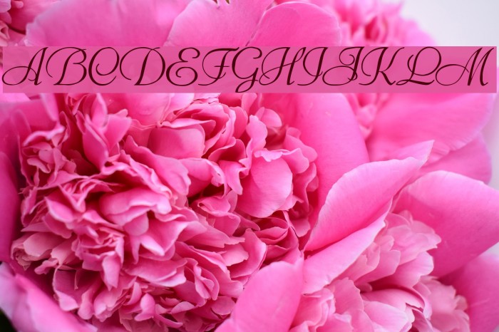 Bienville Font examples
