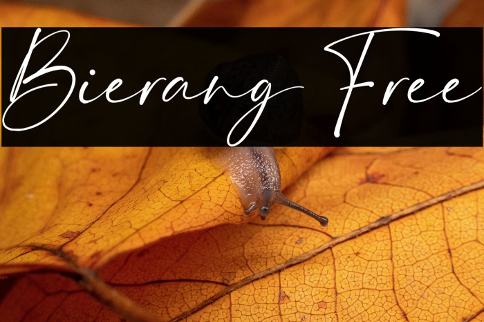 Bierang Free Example 2