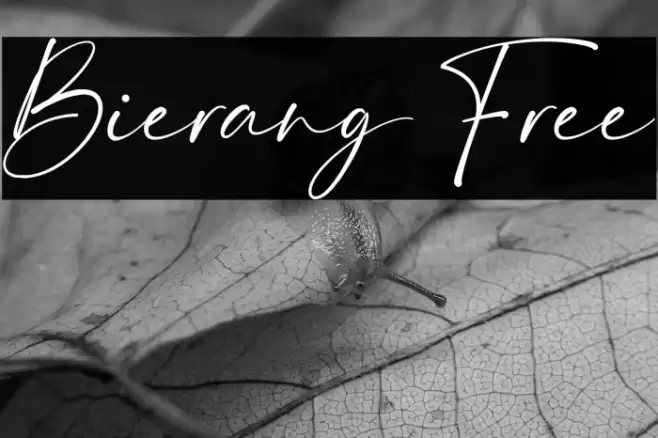 Bierang Free Font examples