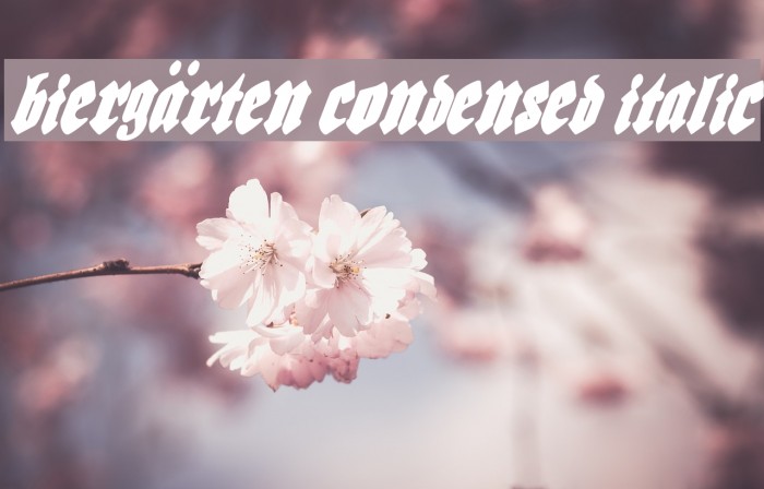 Biergärten Condensed Italic フォント examples