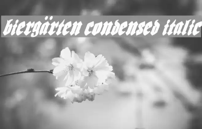 Biergärten Condensed Italic फ़ॉन्ट examples