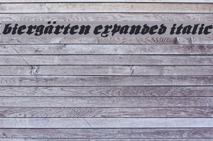 Biergärten Expanded Italic フォント examples