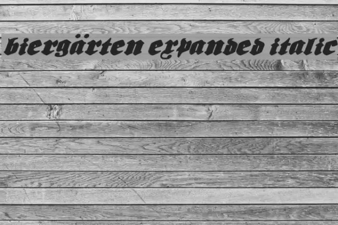 Biergärten Expanded Italic フォント examples