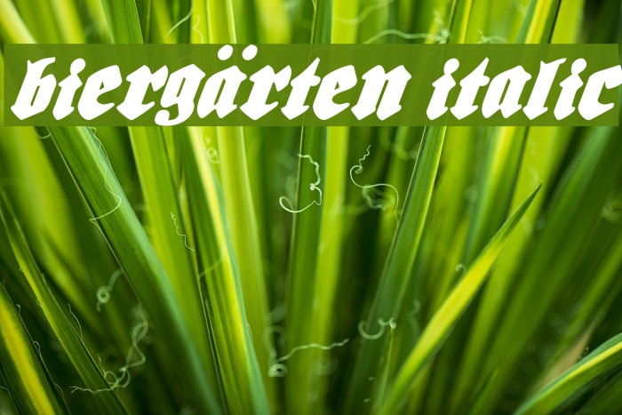 Biergärten Italic フォント examples