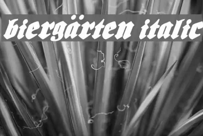 Biergärten Italic फ़ॉन्ट examples