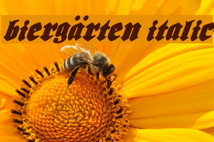 Biergärten Italic フォント examples