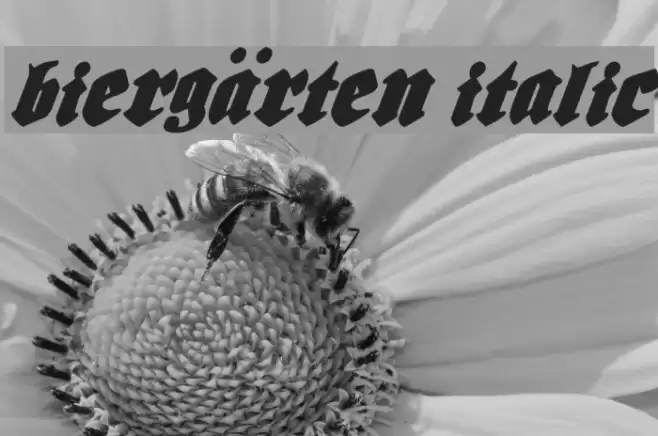 Biergärten Italic फ़ॉन्ट examples