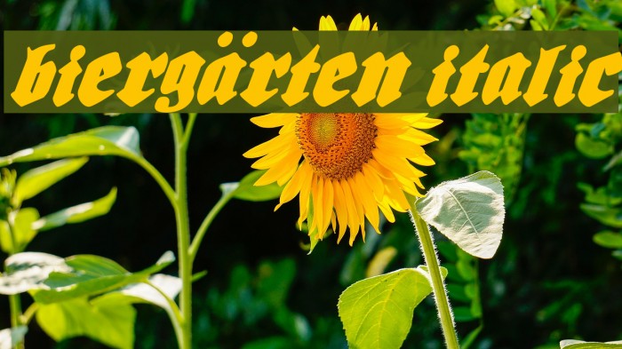 Biergärten Italic フォント examples