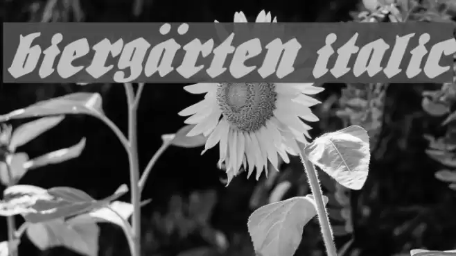 Biergärten Italic फ़ॉन्ट examples