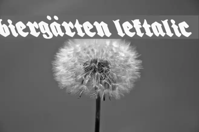 Biergärten Leftalic Font examples