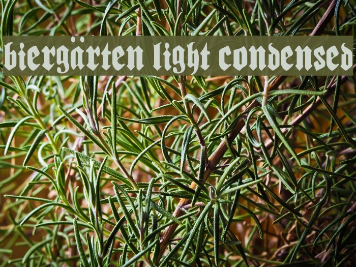 Biergärten Light Condensed Font examples