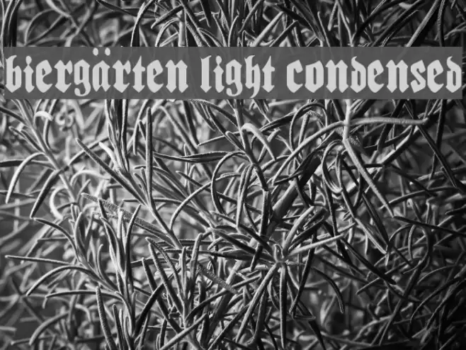 Biergärten Light Condensed फ़ॉन्ट examples