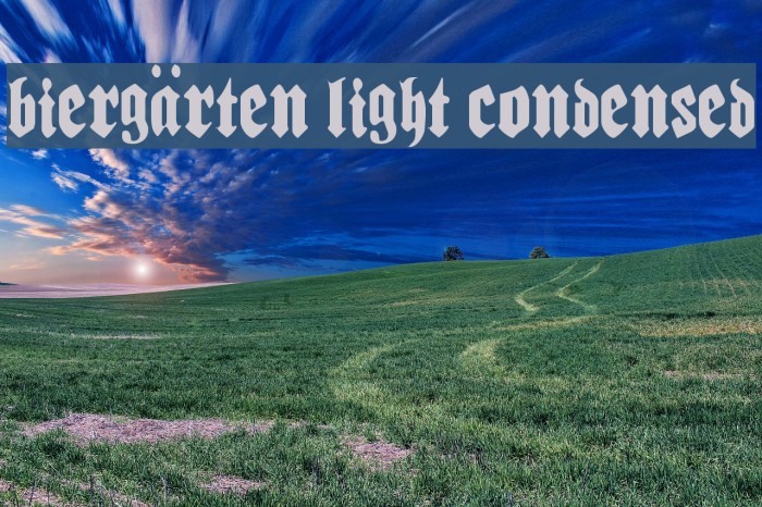 Biergärten Light Condensed Font examples