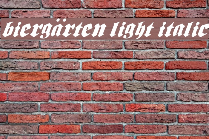 Biergärten Light Italic Font examples