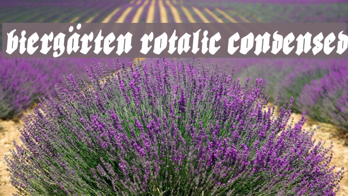 Biergärten Rotalic Condensed Font examples