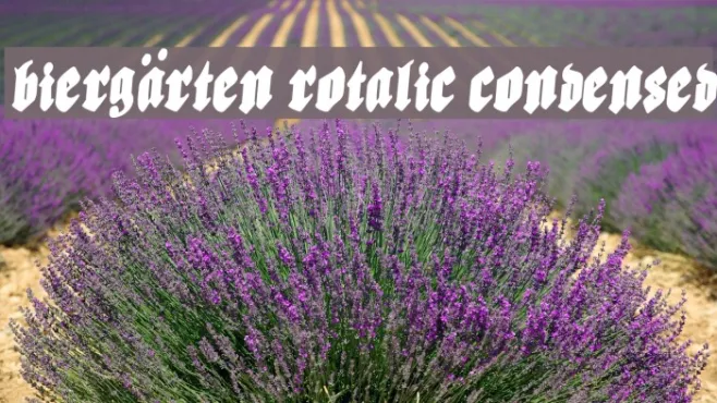 Biergärten Rotalic Condensed Example 1