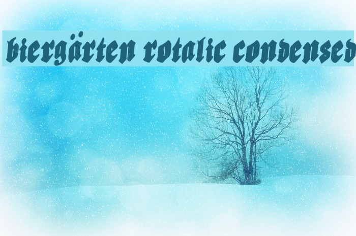 Biergärten Rotalic Condensed Font examples
