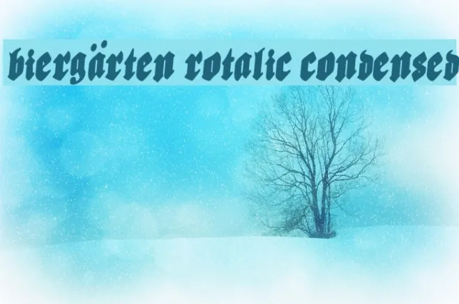 Biergärten Rotalic Condensed Example 3
