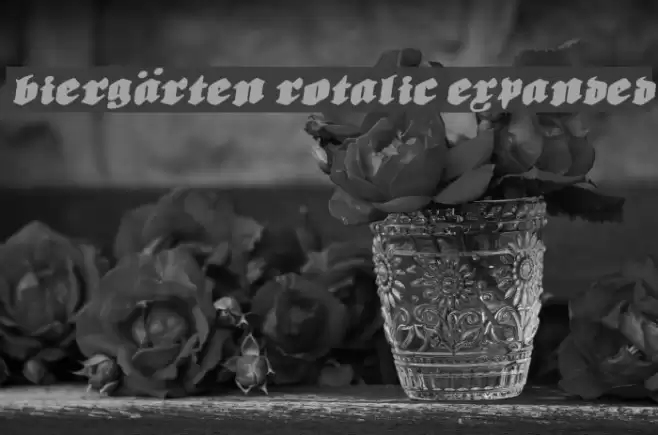 Biergärten Rotalic Expanded Font examples