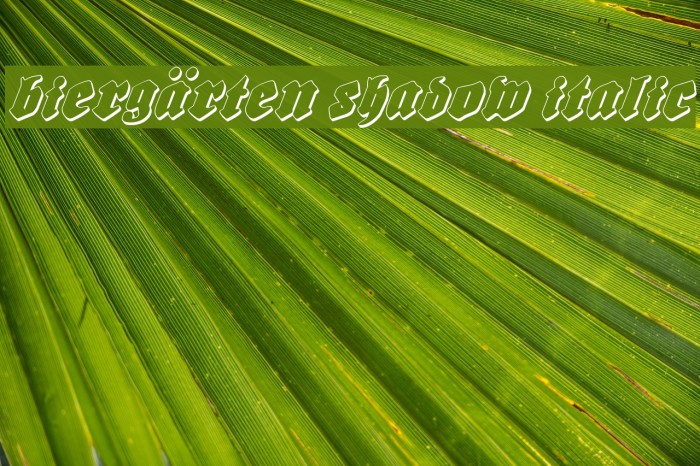Biergärten Shadow Italic フォント examples