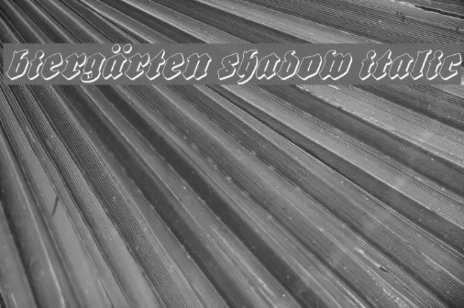 Biergärten Shadow Italic フォント examples