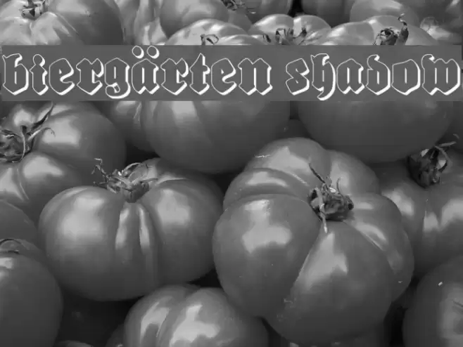 Biergärten Shadow Polices examples