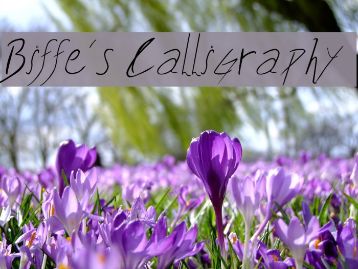 Biffe´s Calligraphy Font examples