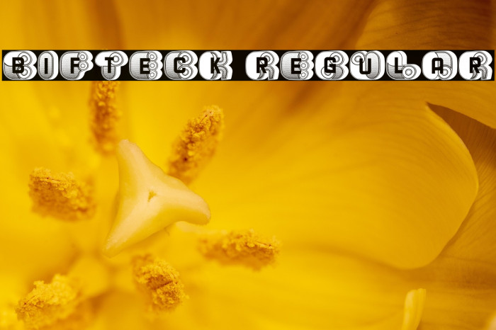 Bifteck Regular Example 2