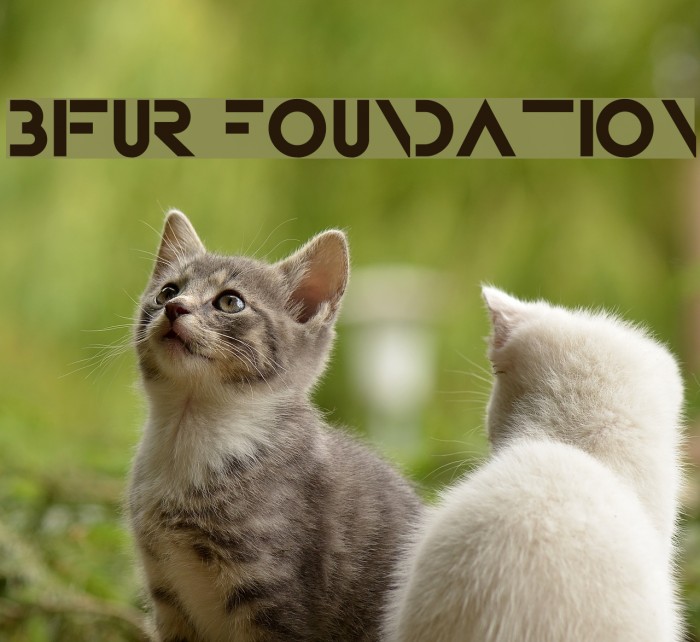 Bifur Foundation Example 1