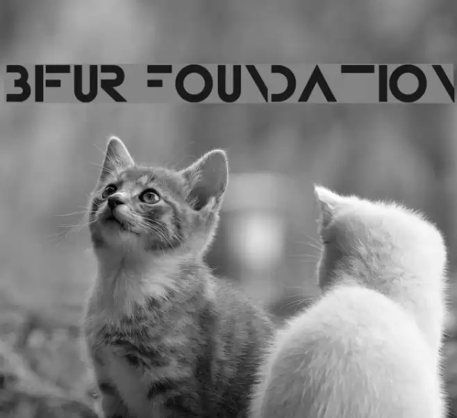 Bifur Foundation Font examples