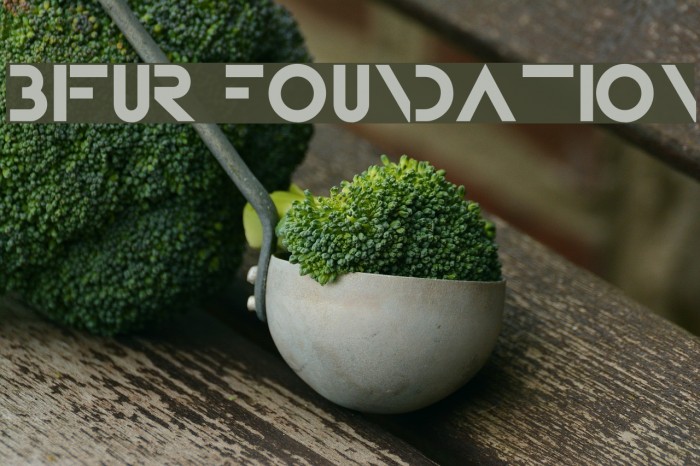 Bifur Foundation Example 3