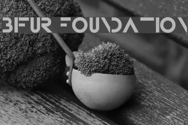Bifur Foundation Font examples